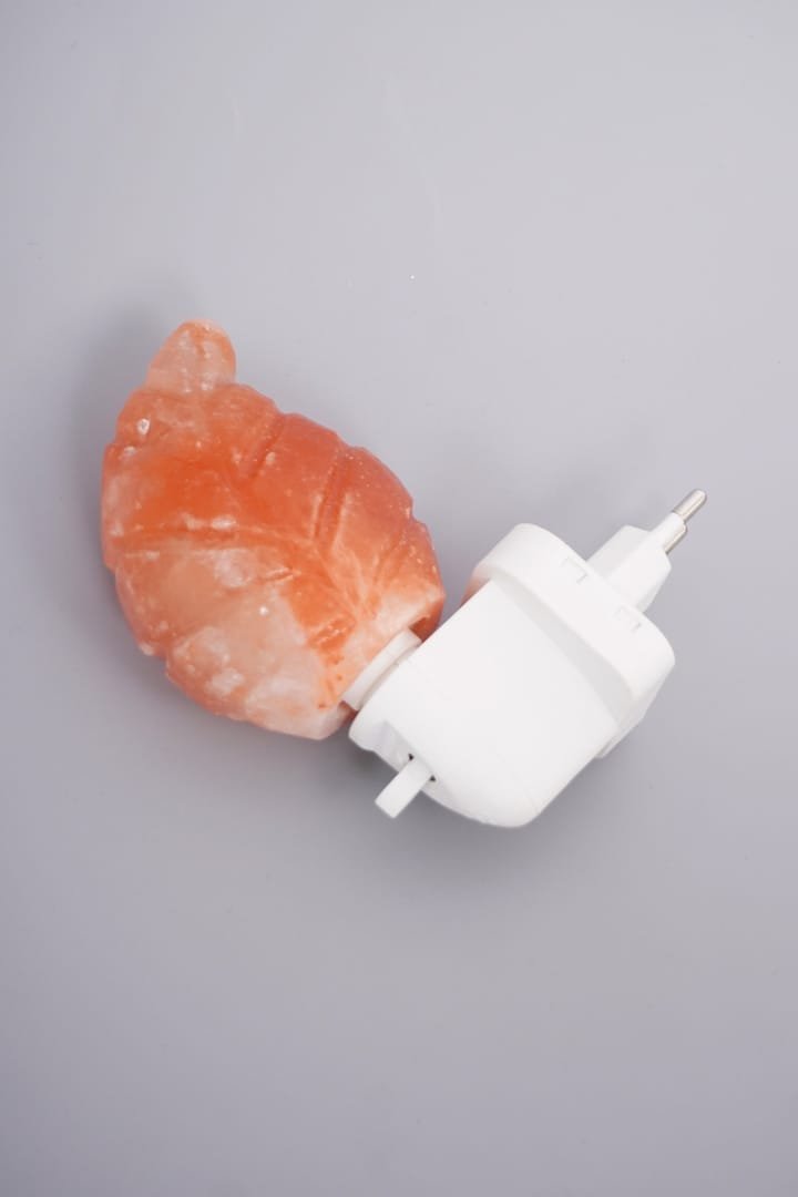 WhatsApp Image 2023 08 26 at 1.26.44 PM